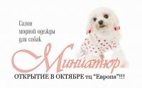 Миниатюр Салон модной одежды для собак, 26 января , Уфа, id18615881
